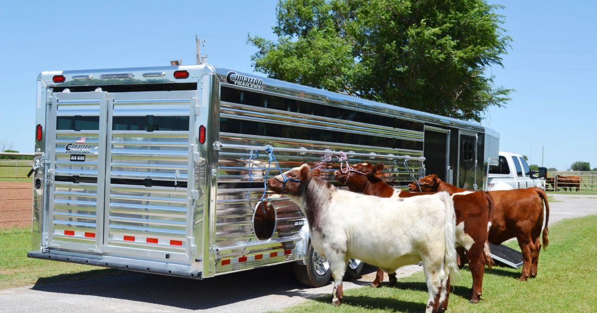 Livestock Transportation
